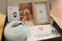 My Pet Funeral - Penang Pet Cremation — Services in Jelutong, Penang