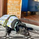 The Daily Dose Cafe — Food & Drink in George Town, Penang