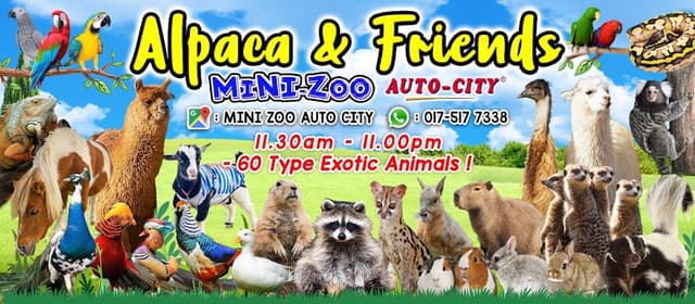 Auto City Mini Zoo